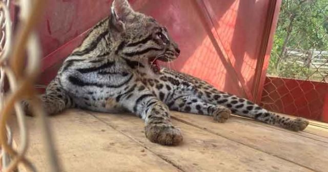 7b0bd364-da29-4c19-add7-427bad71179f