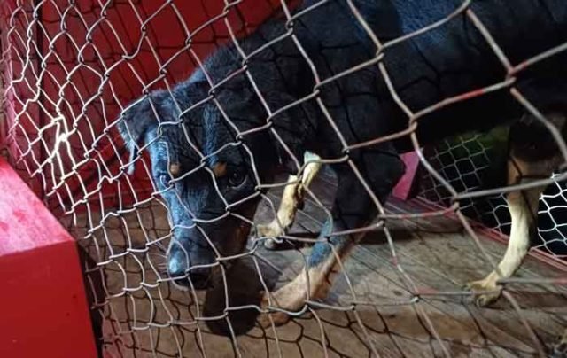 870e5830-f8ee-4d61-9e6c-dd59e37712be