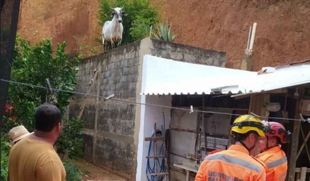 c79f0c6f-1dd4-487d-b19b-56626e849497