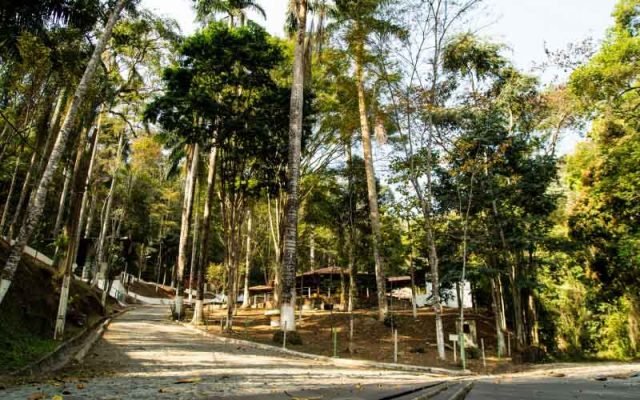 thumb_800x500_dsc2601