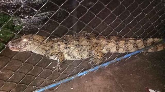 e3e06b96-057b-47ae-938c-c1c1ab983f0f