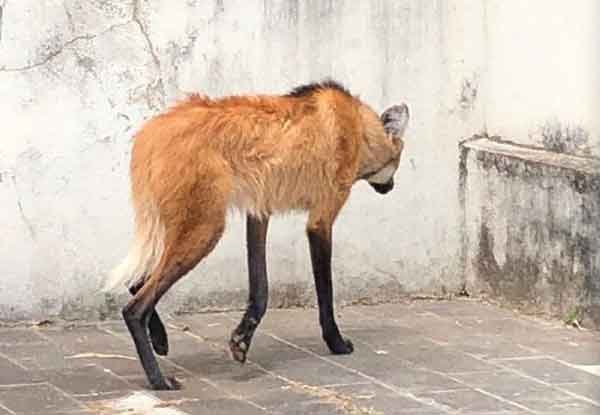 f9d199c7-410e-4d9e-a90a-673da79b4938