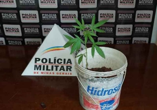 914feb29-1696-401f-8ef6-d45173255306