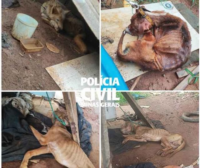 Maus-Tratos-Monlevade-Logo