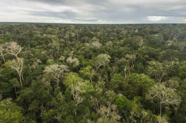 reserva-ambiental-Vale