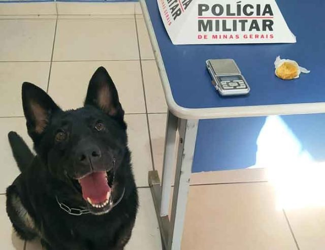 afd68e43-1b74-4dcb-bf80-0e5e88633628