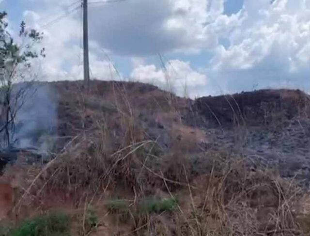 Homem-é-Preso-em-Flagrante-por-Incêndio-em-Vegetação1