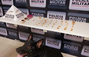 Denúncia de indivíduo armado leva à apreensão de drogas na Rua São Lucas em Manhuaçu