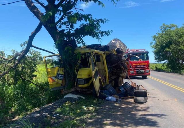 Caminhão-colide-contra-árvore-na-MGC-122;-acidente-deixa-um-idoso-morto-e-um-jovem-ferido-em-Janaúba