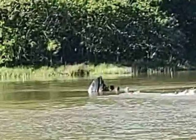 Sem-coletes-salva-vidas-Bombeiros-salvam-família-agarrada-a-moto-aquática-na-Lagoa-Univale-em-Coronel-Fabriciano