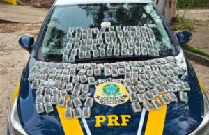 Condutor é preso na BR-262 com 19,6 kg de “maconha dos playboys”, saiba o que é