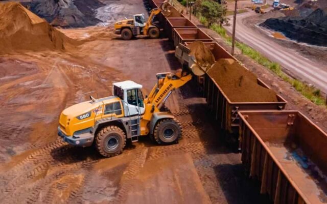 Foto: Reprodução - TSL Transportes