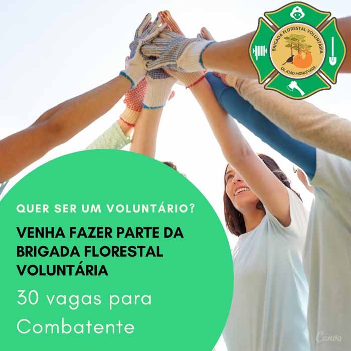 Divulgação: Brigada Florestal Voluntária