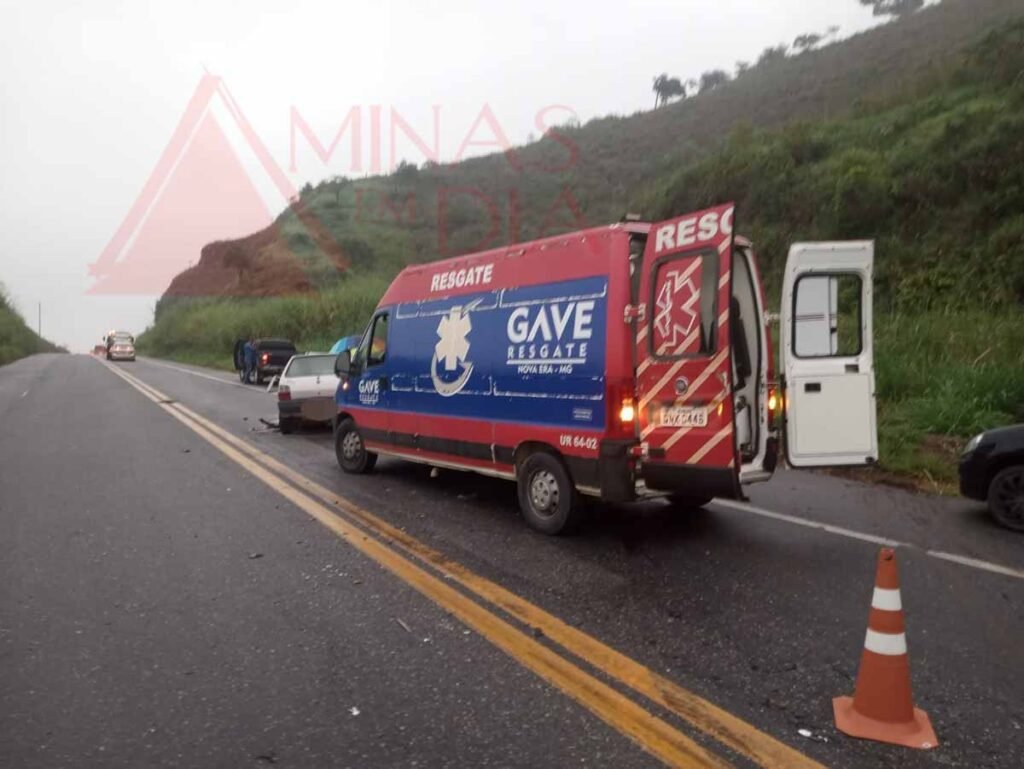 Créditos: Grupo de Atendimento Voluntário de Emergência (GAVE)