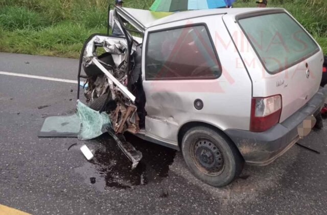 Créditos: Grupo de Atendimento Voluntário de Emergência (GAVE)