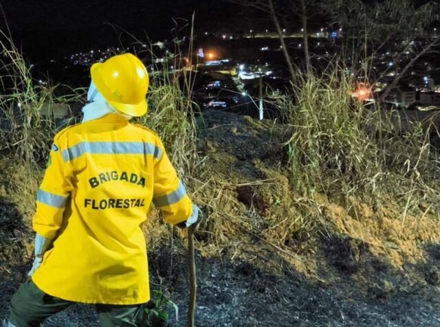 Divulgação: Brigada Florestal Voluntária de João Monlevade
