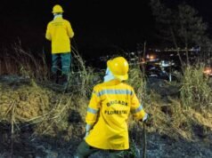 Vídeo; Brigada Florestal controla incêndio em vegetação no bairro Centenário, em Nova Era