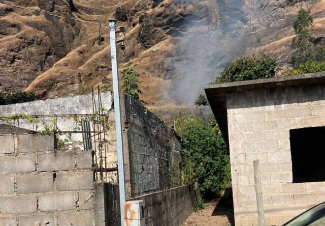 f4110ae1-7d53-4492-b44f-d69244159bd1