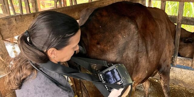 {7D46778D-2EC5-4DB5-EC22-3CEC3C5132AB}