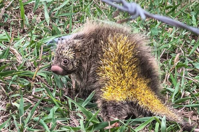 43c48056-b83d-4c6a-944b-e3a118d0c211