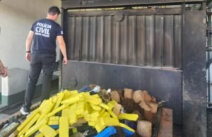 PCMG incinera mais de uma tonelada de drogas apreendidas em Manhuaçu