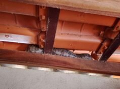 Serpente mobiliza Bombeiros após ser encontrada em galinheiro no interior de Minas