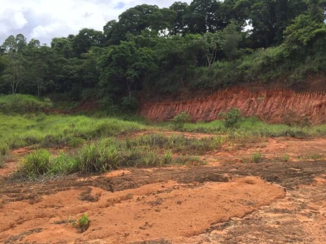 Aterro-196-em-2021,-antes-da-aplicação-da-técnica-para-revitalizar-áreas-com-baixa-fertilidade