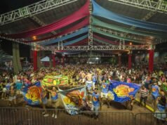GonçaloFolia 2026 abre inscrições para desfile de blocos