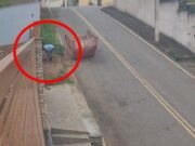 Nova Era/MG; Bombeiros são acionados após enxame de abelhas atacar populares, veja vídeo