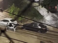 Vídeo; “Vaquinha” é arrastada pela correnteza após forte chuva em BH