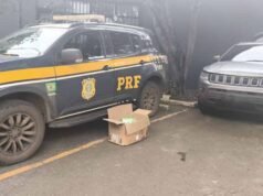 PRF resgata três adolescentes, possíveis vítimas de Tráfico de Pessoas, na BR-040