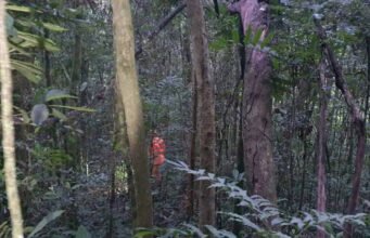 Criança de 4 anos com TEA desaparece e mobiliza grande operação em área rural de Jeceaba