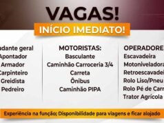 Grupo Bandeirantes oferece vagas operacionais com regime de alojamento, confira as funções