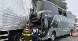 Veja fotos; Colisão entre ônibus e caminhão mata comissária na BR-381