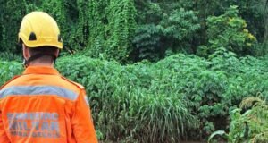 João Monlevade; Bombeiros monitoram nível de córrego no bairro Cruzeiro Celeste após fortes chuvas