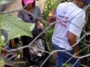 Índice de infestação da dengue atinge 7% em Itabira e acende alerta de alto risco de surto