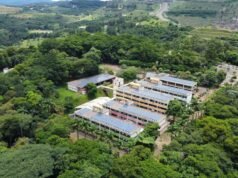 800 vagas! Funcesi anuncia pós-graduação EAD gratuita em cuidados paliativos para pacientes oncológicos; saiba como se inscrever