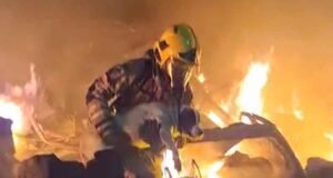 Vídeo; Incêndio de grandes proporções atinge oficina na BR-459 e cadela é resgatada pelos Bombeiros