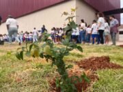 Mês da Água é encerrado com ação ambiental e plantio em São Gonçalo do Rio Abaixo