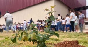 Mês da Água é encerrado com ação ambiental e plantio em São Gonçalo do Rio Abaixo