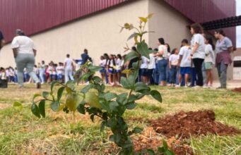 Mês da Água é encerrado com ação ambiental e plantio em São Gonçalo do Rio Abaixo