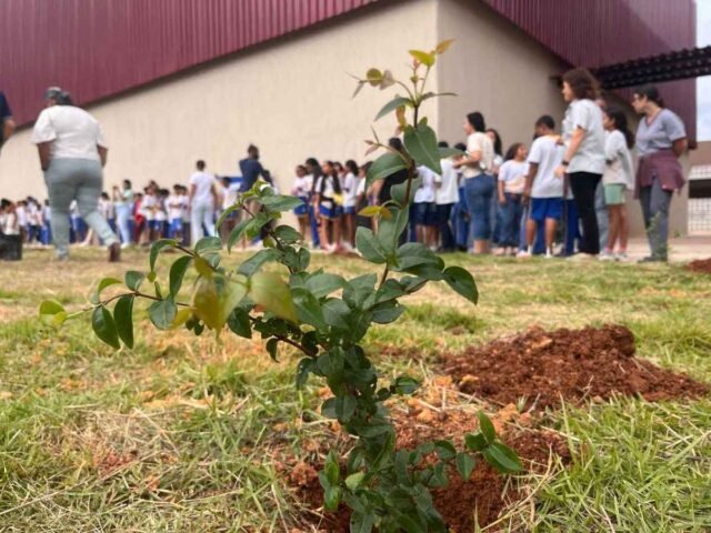 {3D7226ED-375E-AE2E-CD0B-171C42C3CCEC}