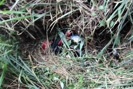 Motociclista fica ferido após cair em barranco de 30 metros na BR-381 entre João Monlevade e Bela Vista de Minas