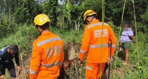 Cavalo cai em reservatório de 1,80 m e é resgatado pelos bombeiros em Itabira