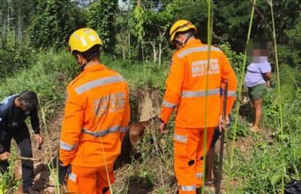 Cavalo cai em reservatório de 1,80 m e é resgatado pelos bombeiros em Itabira
