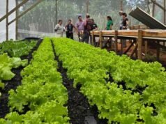 São Gonçalo do Rio Abaixo é finalista no prêmio “Sebrae Prefeito Empreendedor”