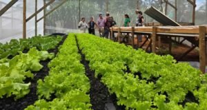 São Gonçalo do Rio Abaixo é finalista no prêmio “Sebrae Prefeito Empreendedor”