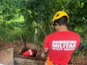 Itabira; Bombeiros resgatam capivaras presas em estação de esgoto às margens da BR-120