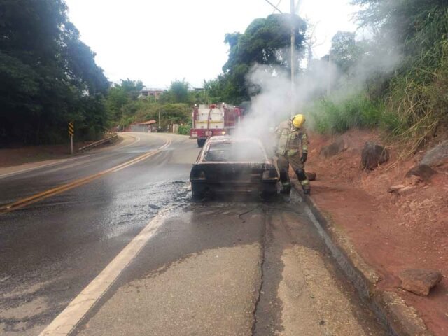 bf915f57-afe8-491a-8051-8263b4332d33