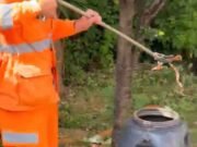 Sete Lagoas; Criança encontra cobra coral durante brincadeira e mobiliza bombeiros